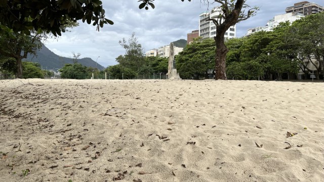 IMG 3135