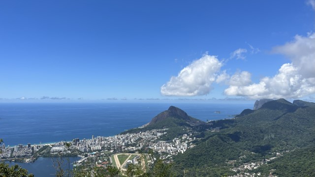 IMG 3308