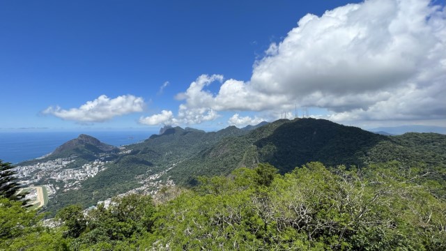 IMG 3315