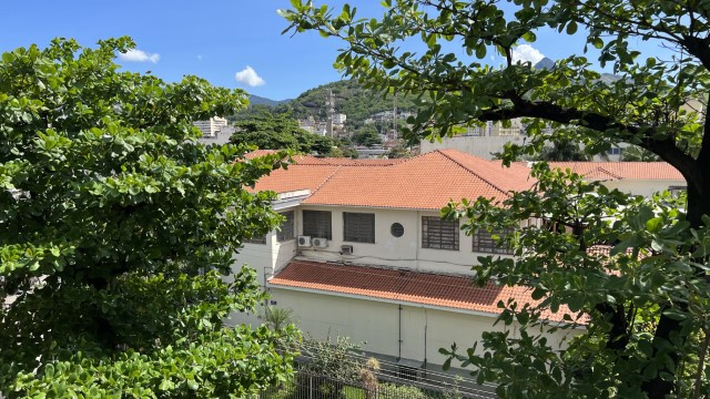 IMG 3351