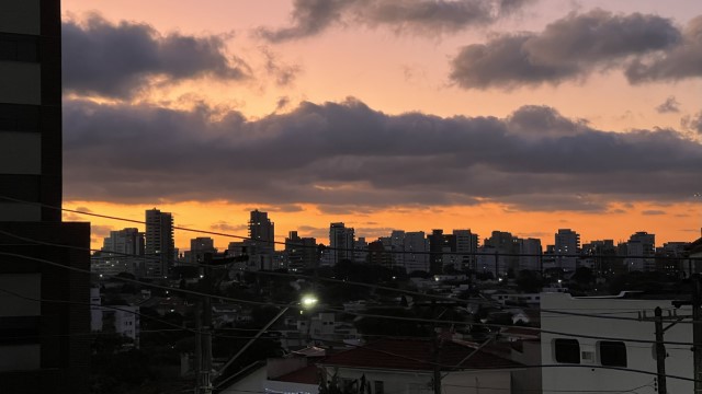 IMG 3559
