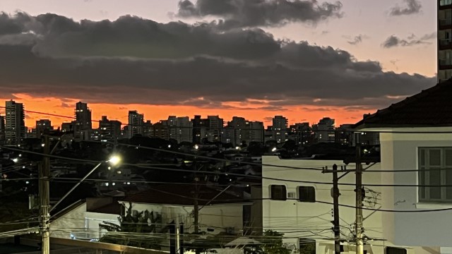 IMG 3561