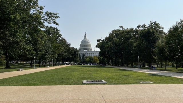 IMG 8580