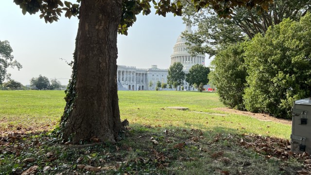 IMG 8622