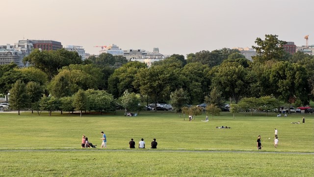 IMG 8764