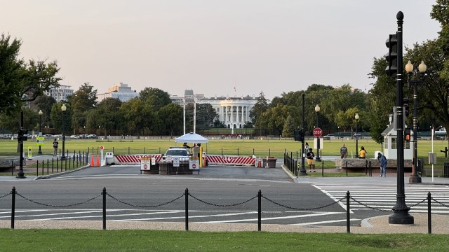 IMG 8766