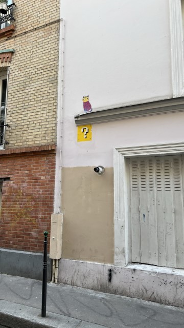 IMG 4798