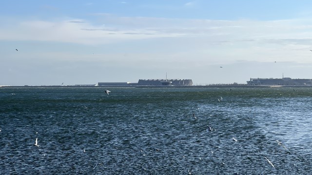 IMG 5009