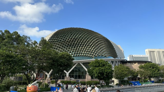 IMG 0571