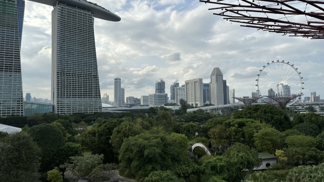 IMG 0785