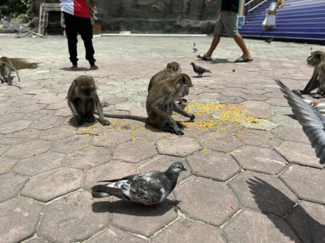 IMG 2028