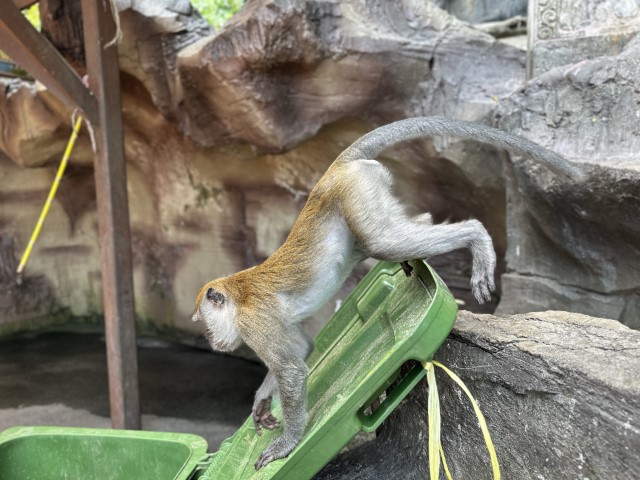 IMG 2053