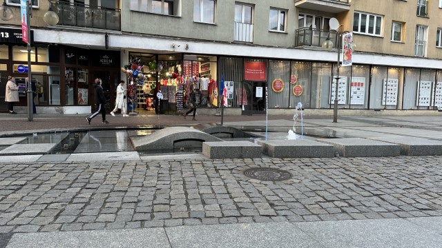 IMG 3350