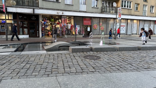IMG 3353