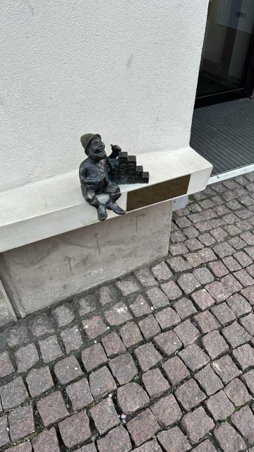IMG 3356