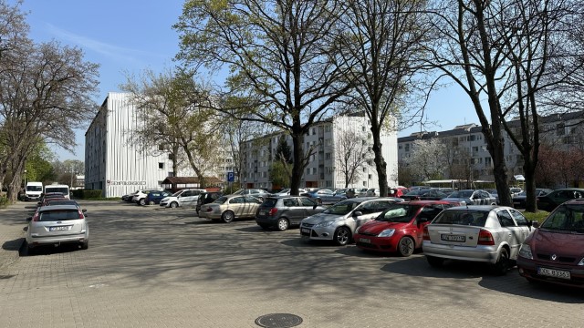IMG 3421