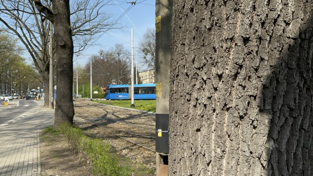 IMG 3426