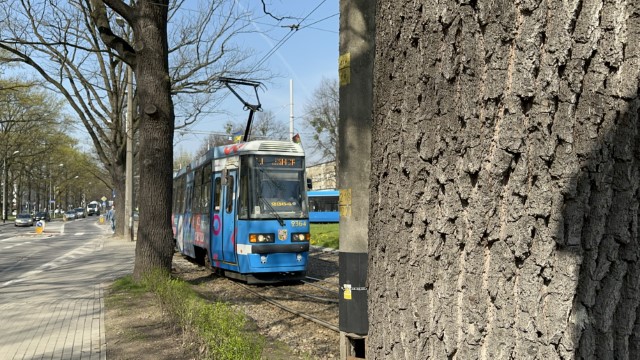 IMG 3428