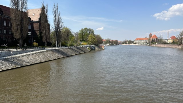 IMG 3478