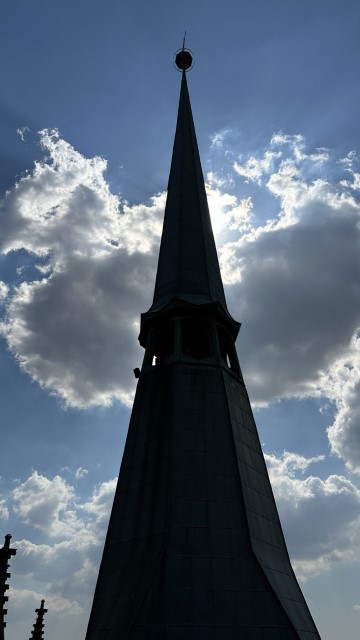 IMG 3530
