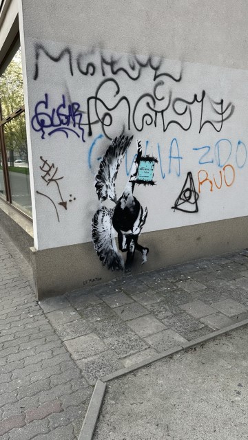 IMG 3759