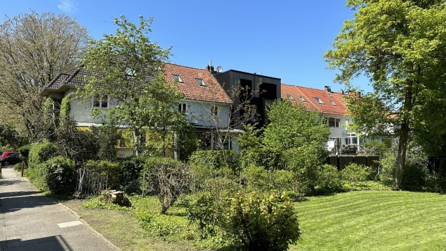 IMG 5115