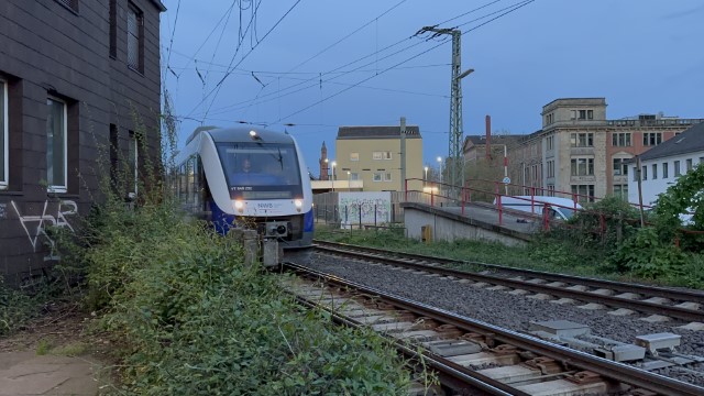 IMG 5253