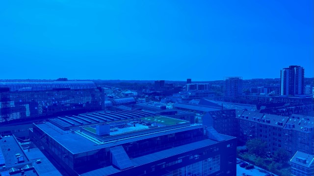 IMG 6675