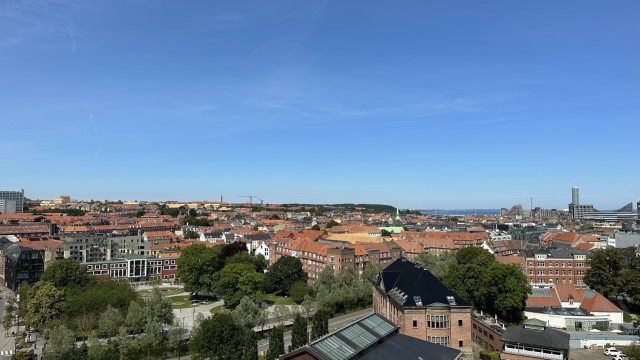 IMG 6699