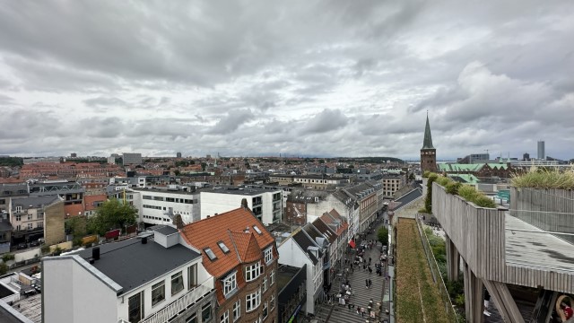 IMG 6945