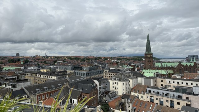 IMG 6968