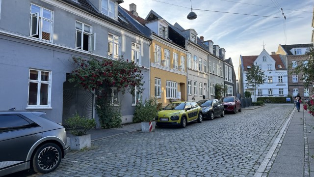 IMG 7037