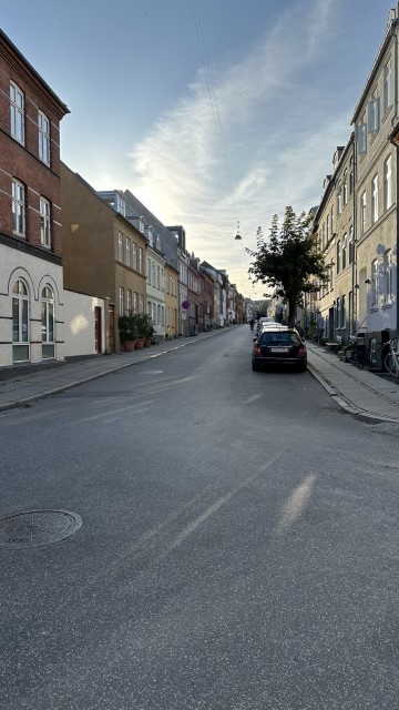 IMG 7042