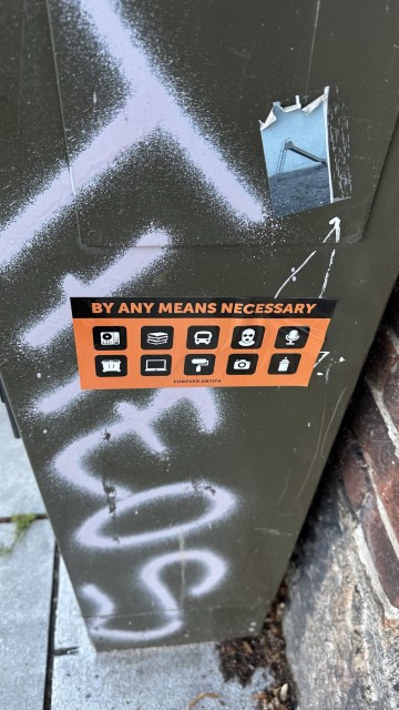 IMG 7077