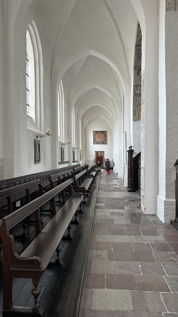 IMG 7095