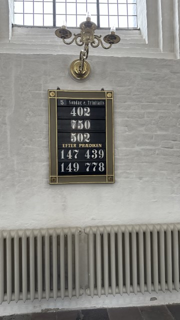 IMG 7101