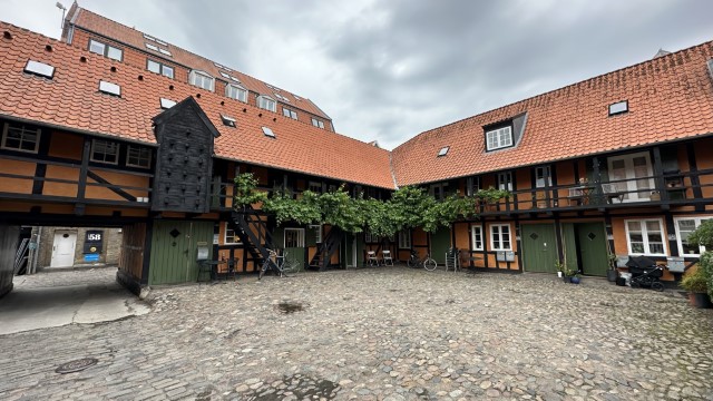 IMG 7256