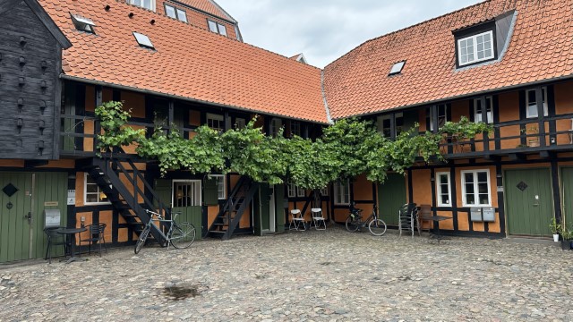 IMG 7257