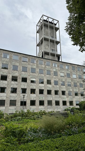 IMG 7329