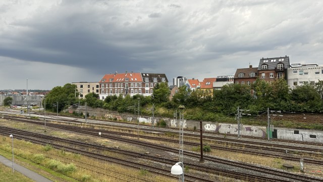 IMG 7365