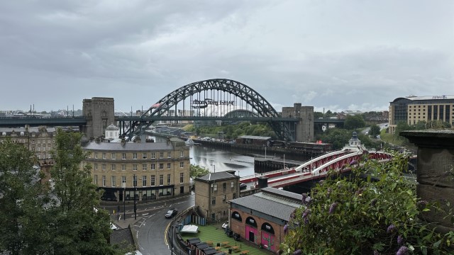 IMG 7458