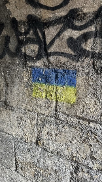 IMG 7701