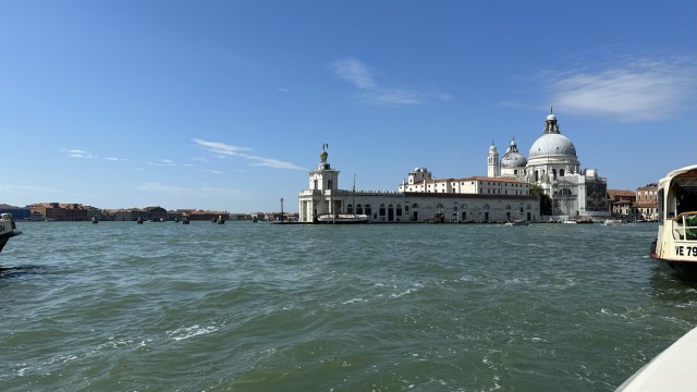 IMG 7877