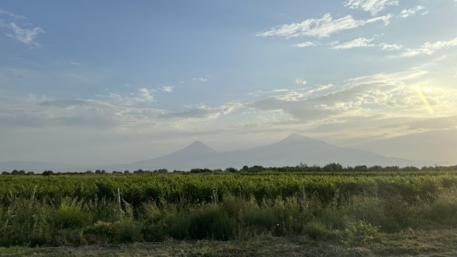 IMG 8911