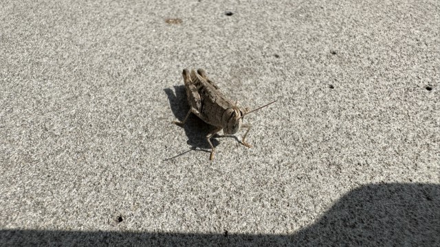 IMG 8320