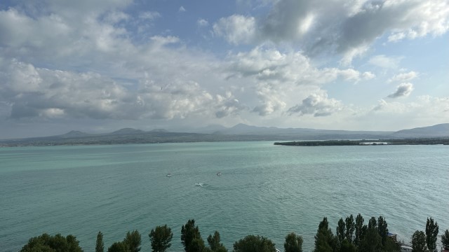 IMG 8557