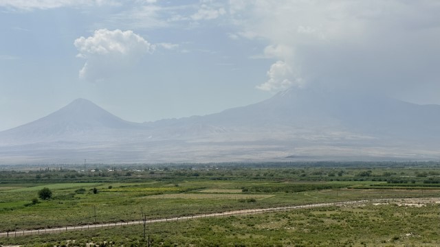 IMG 8801