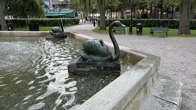 IMG 0162