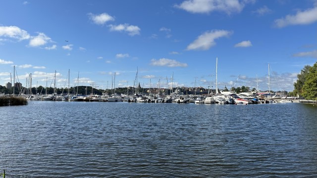 IMG 0231