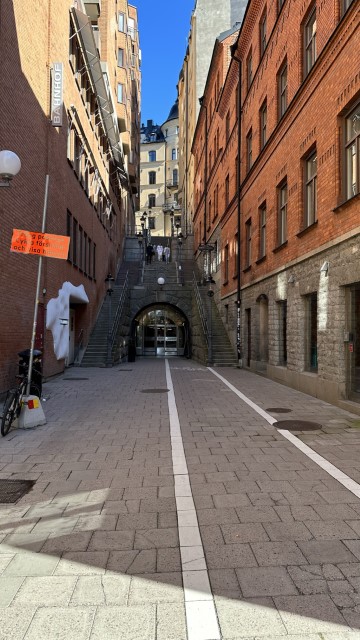 IMG 0268